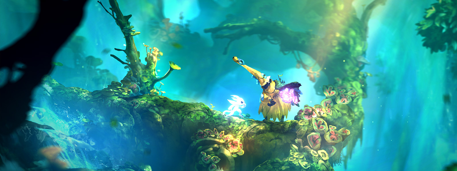 ori and the will of wisps release date