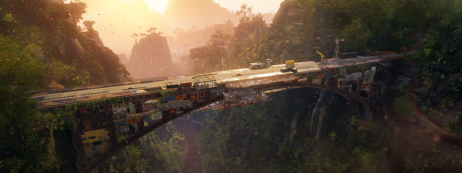 临时搭建的巨型大桥连接起热带雨林